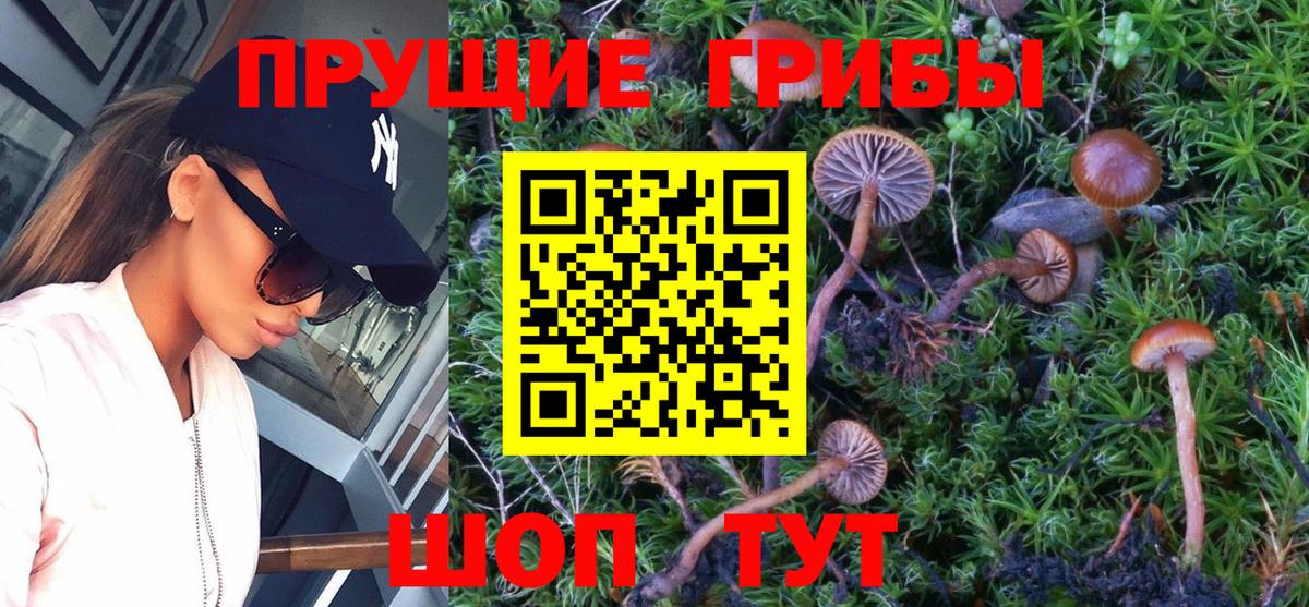 Псилоцибиновые грибы ЛСД  Галлюциногенные грибы Magic Shrooms  Бутурлиновка  Вход с VPN 